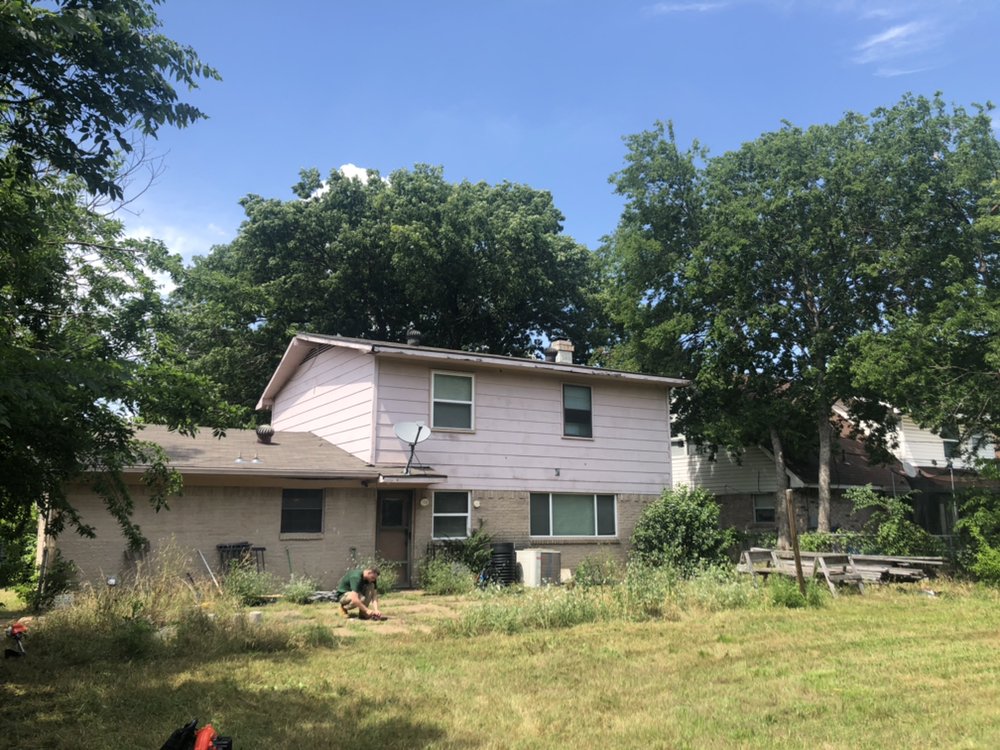 Photo of Trees Landscaping