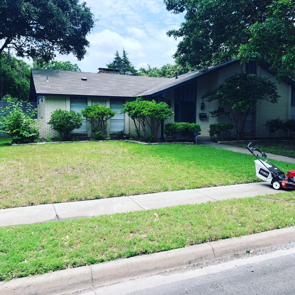 Photo of Trees Landscaping