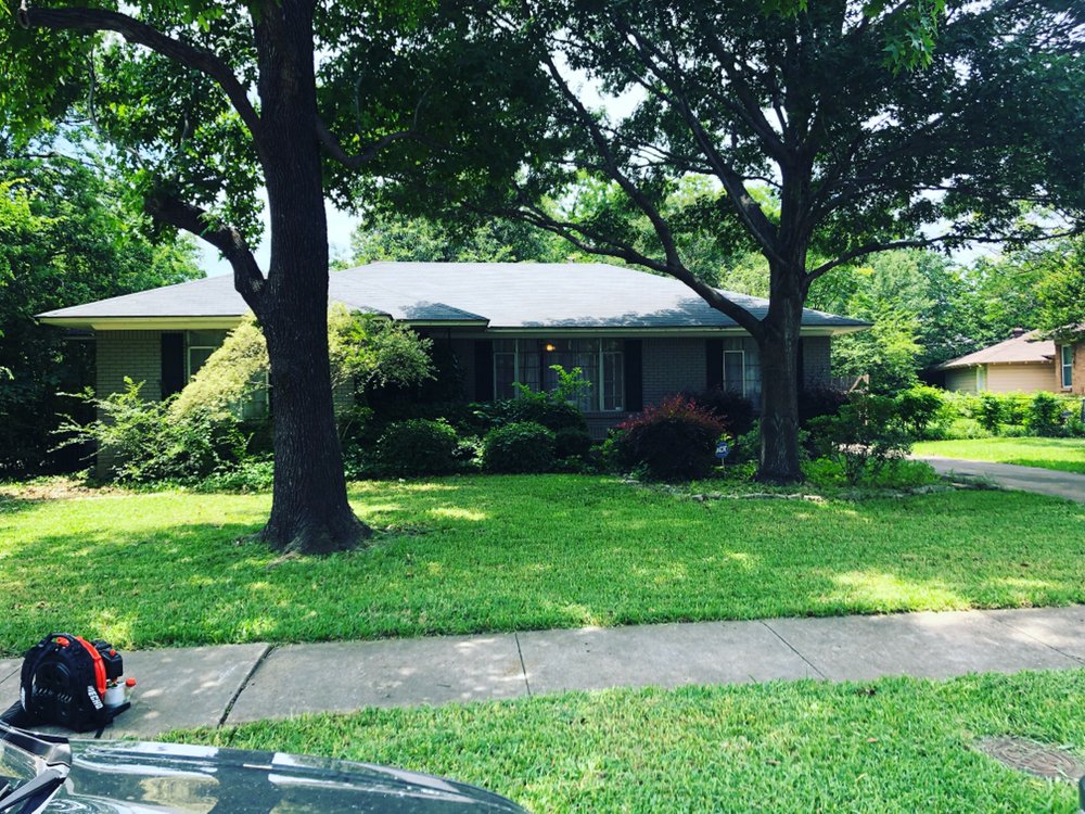 Photo of Trees Landscaping