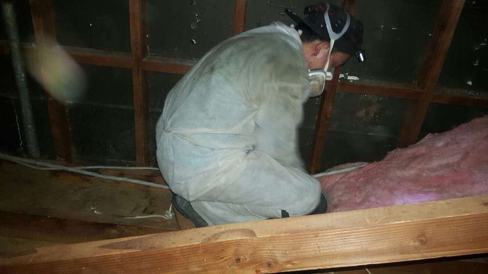 Photo of SOS ATTIC
