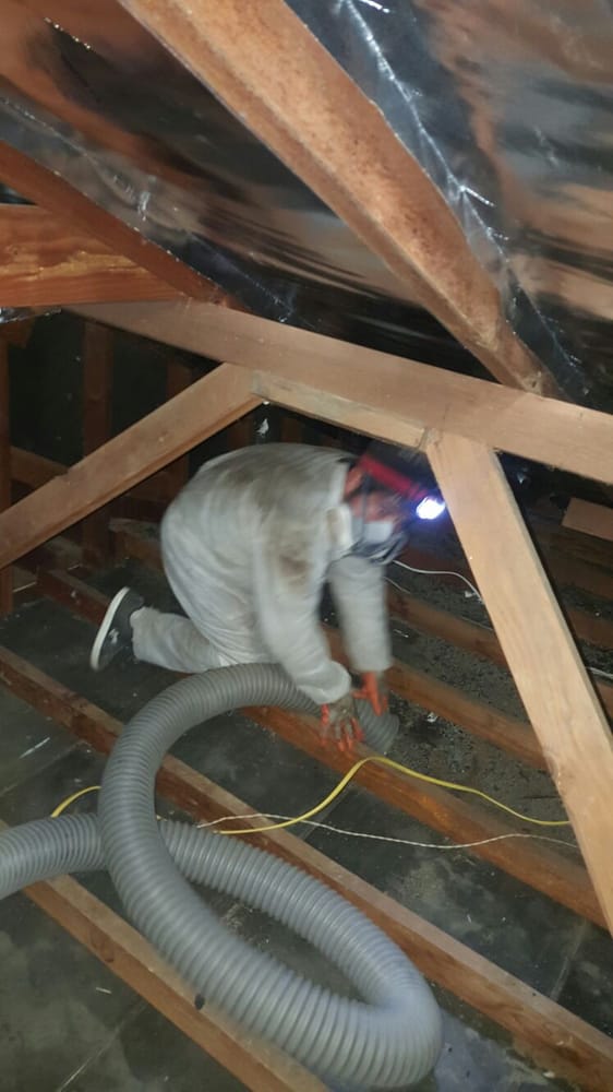 Photo of SOS ATTIC