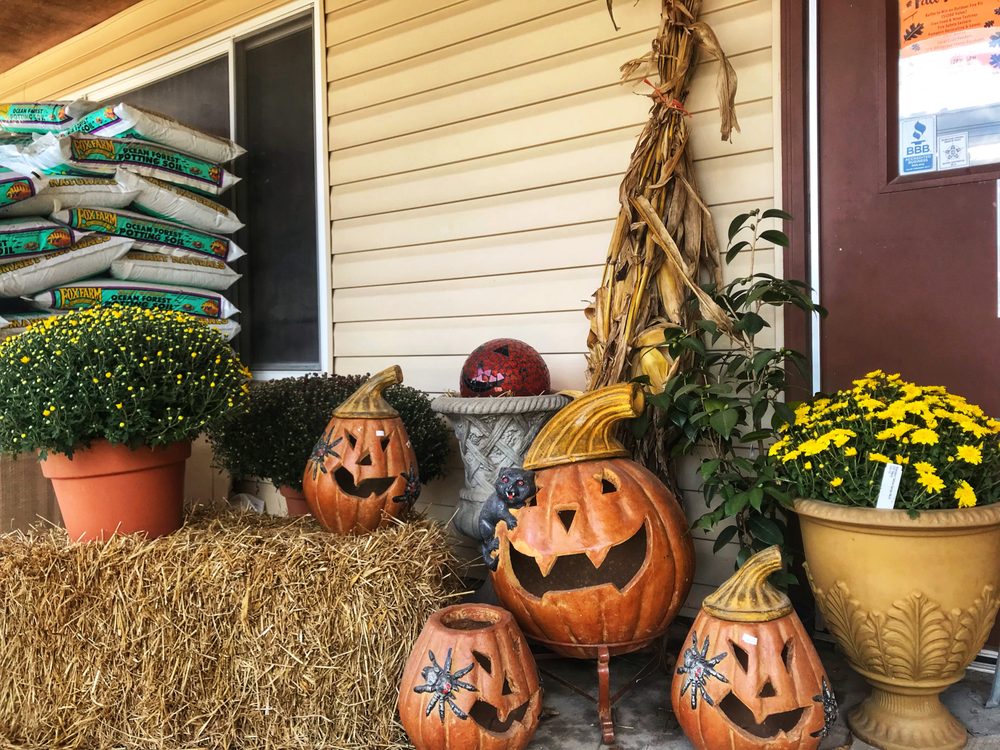 Photo of Jack Frost Landscapes & Garden Center