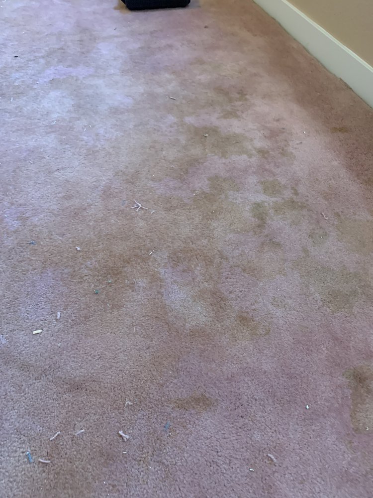 Photo of Trurinse Carpet Cleaning