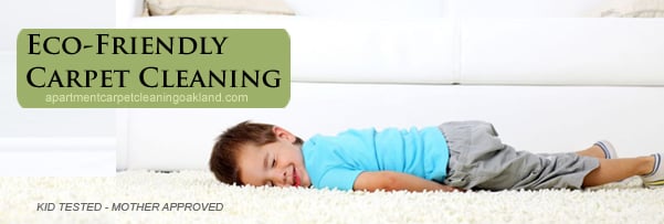 Photo of East Bay Carpet Cleaning