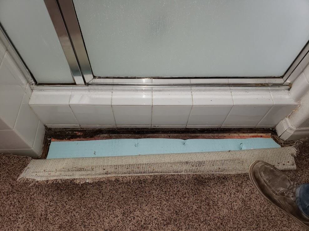 Photo of 1 Day Mold Removal