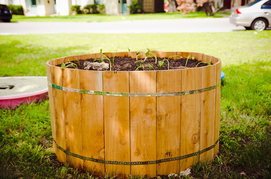 Photo of Yard to Table Gardens