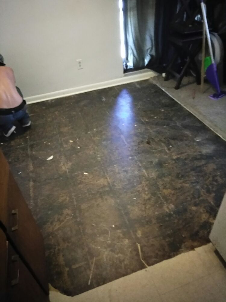 Photo of Totally Kleen