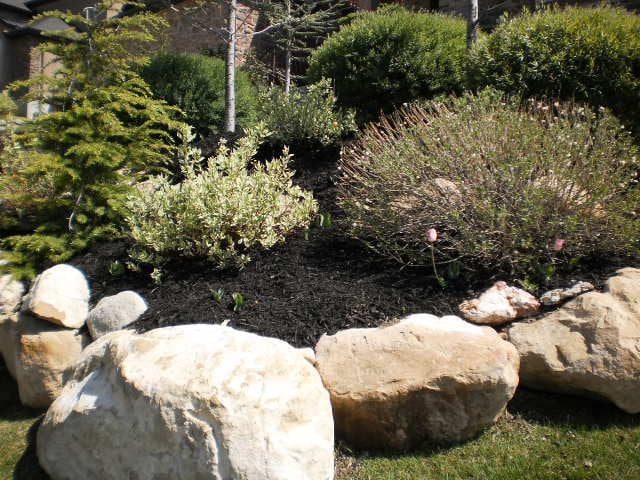 Photo of Local Edge Lawn Care