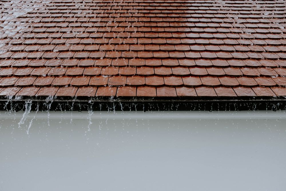 Photo of San Diego's Spotless Roof Maintenance
