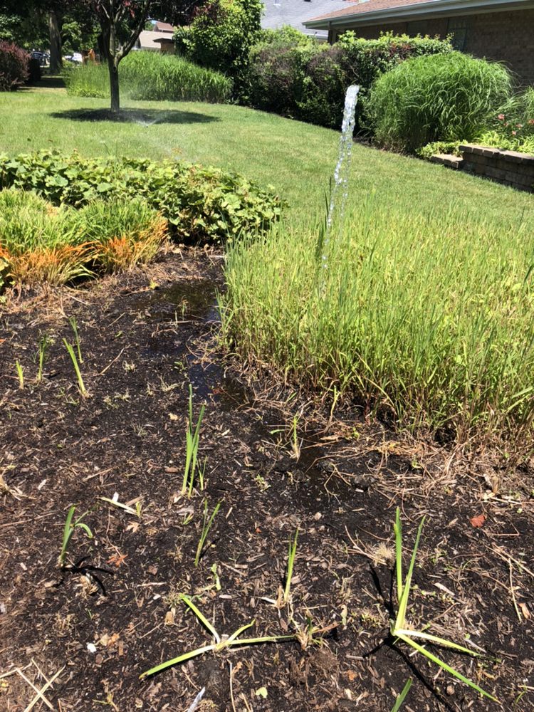 Photo of Dave Sprinker N Lawn