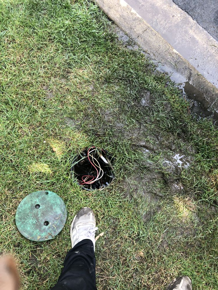 Photo of Dave Sprinker N Lawn