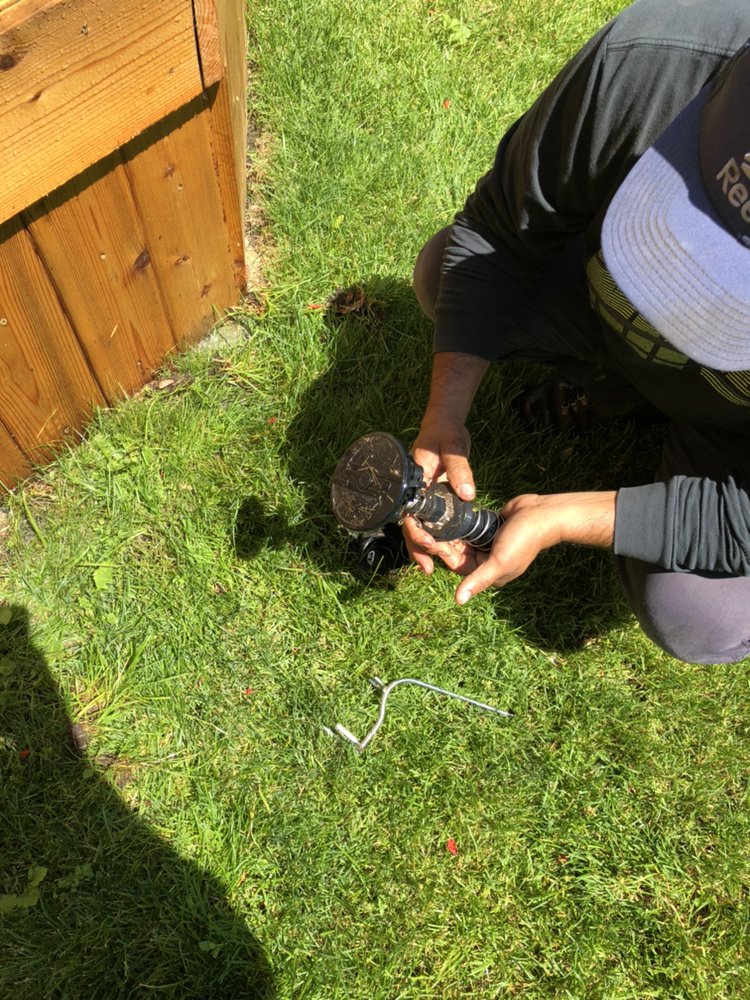 Photo of Dave Sprinker N Lawn