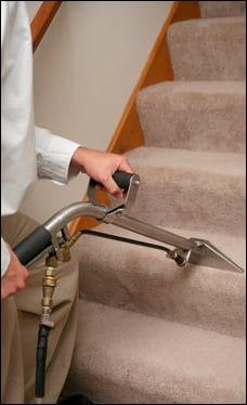 Photo of Stephson Carpet Cleaning