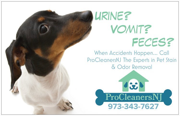 Photo of ProCleanersNJ