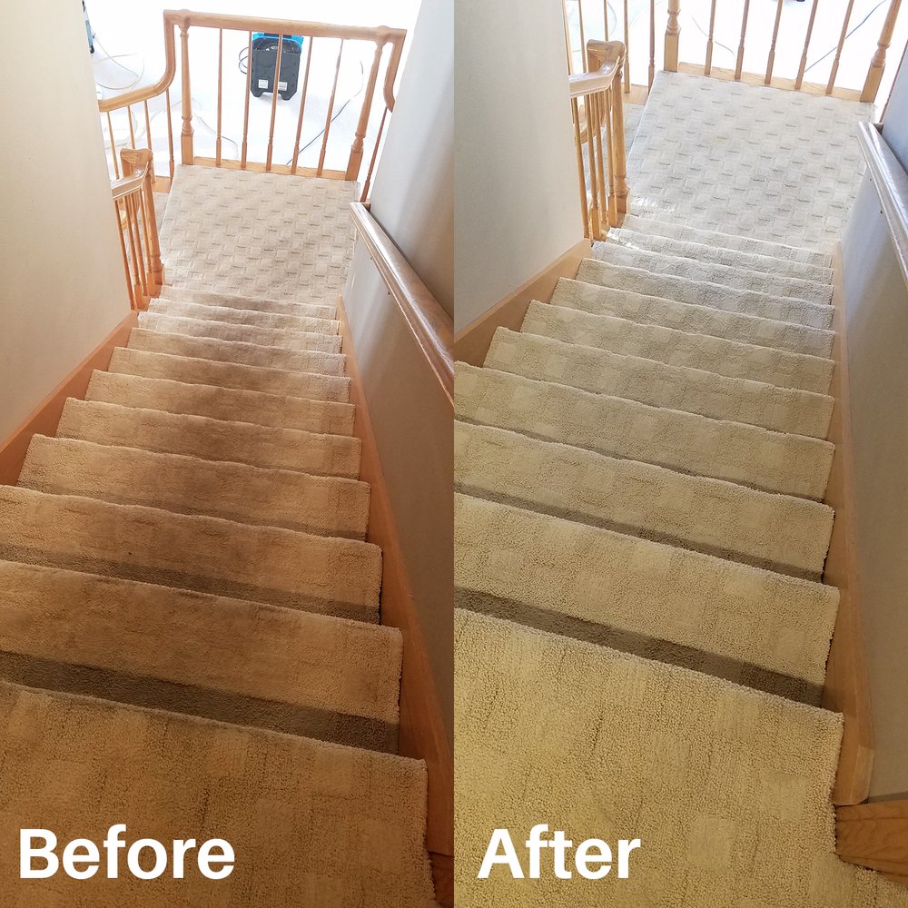 Photo of Riley Carpet Care