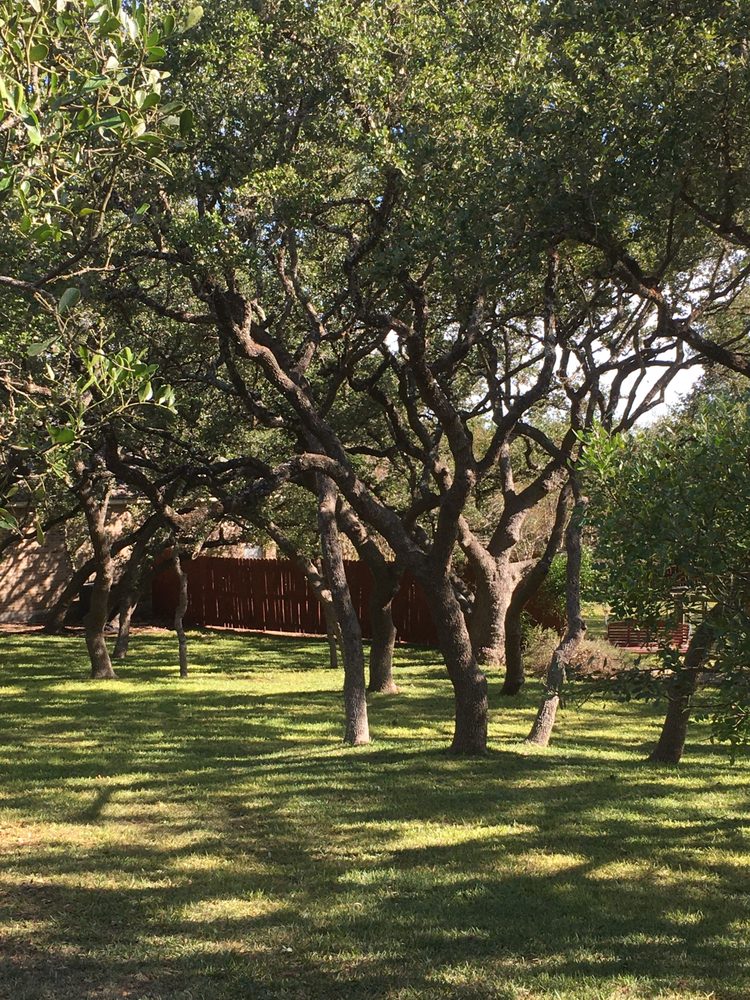 Photo of The Tree Pro