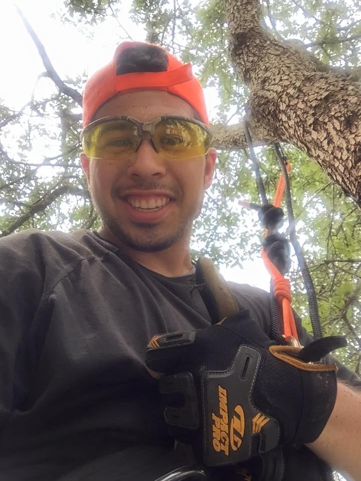 Photo of The Tree Pro