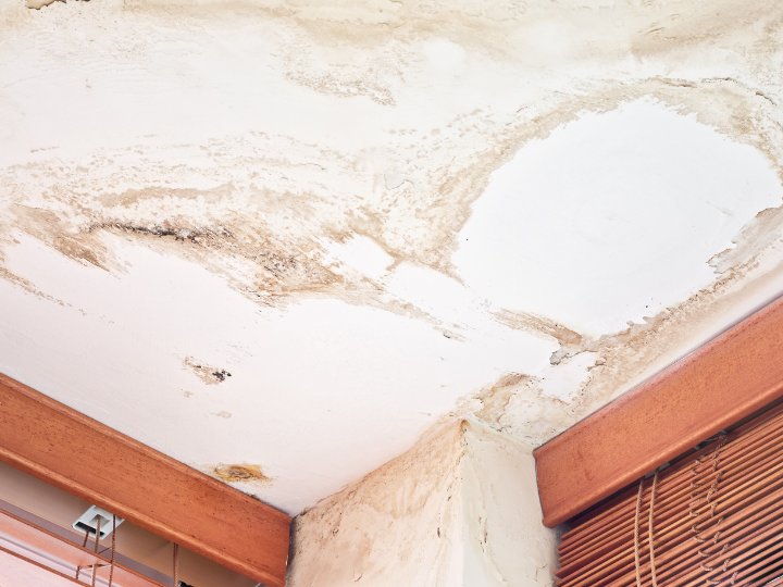 Photo of Reynolds Restoration Services