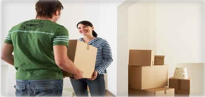 Photo of Moving Company Tinley Park