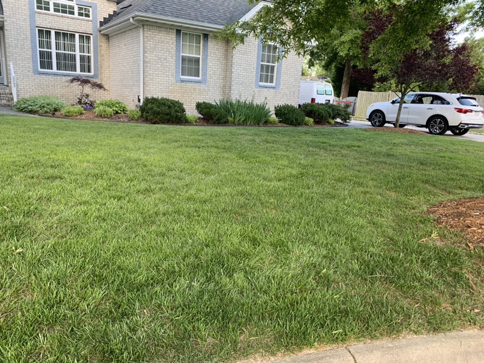 Photo of Rose's Lawn Care Services