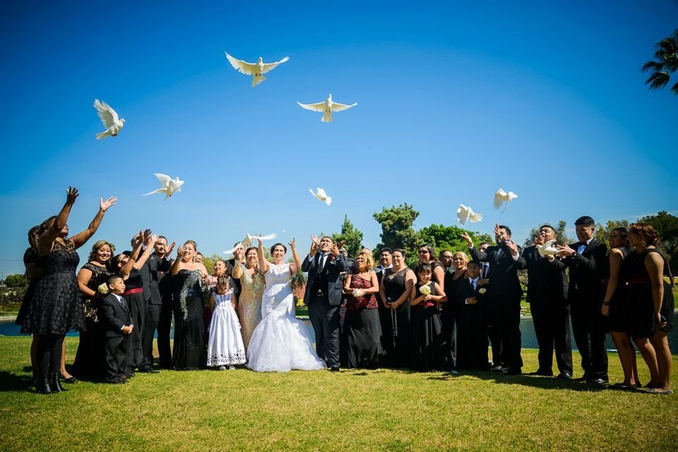 Photo of St Louis Doves Release Company