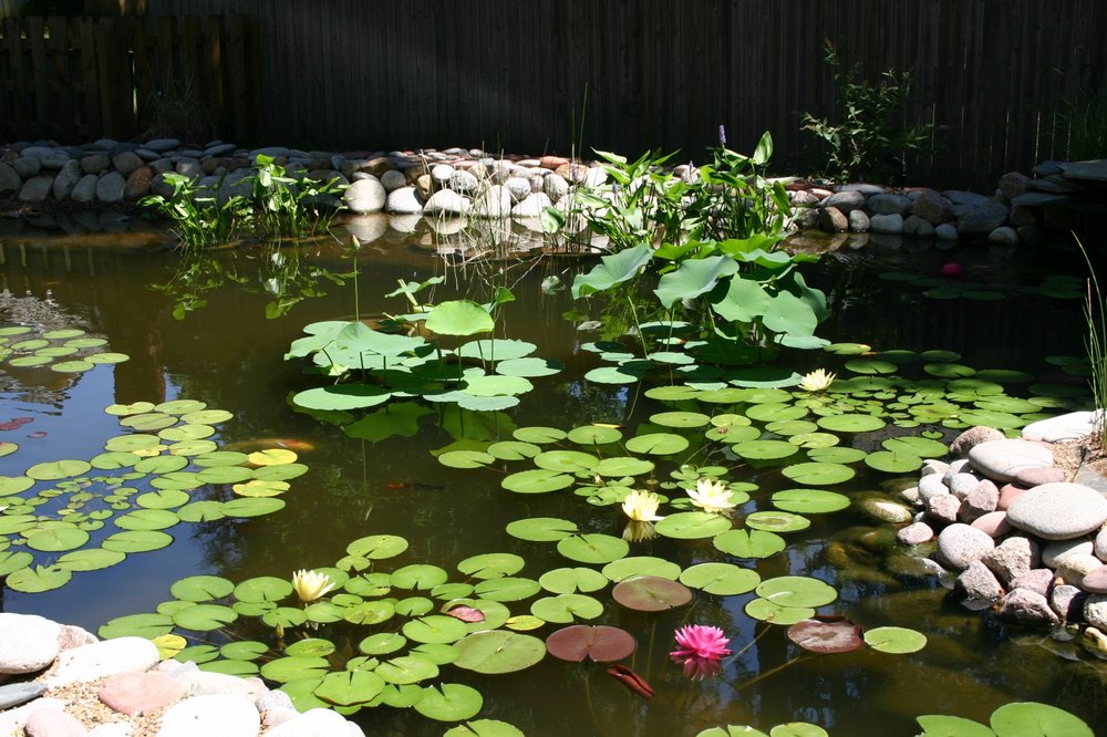 Photo of Hall Brothers Landscaping & Construction