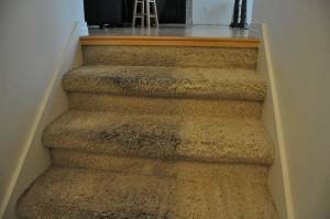 Photo of Hot Shot Carpet Cleaning