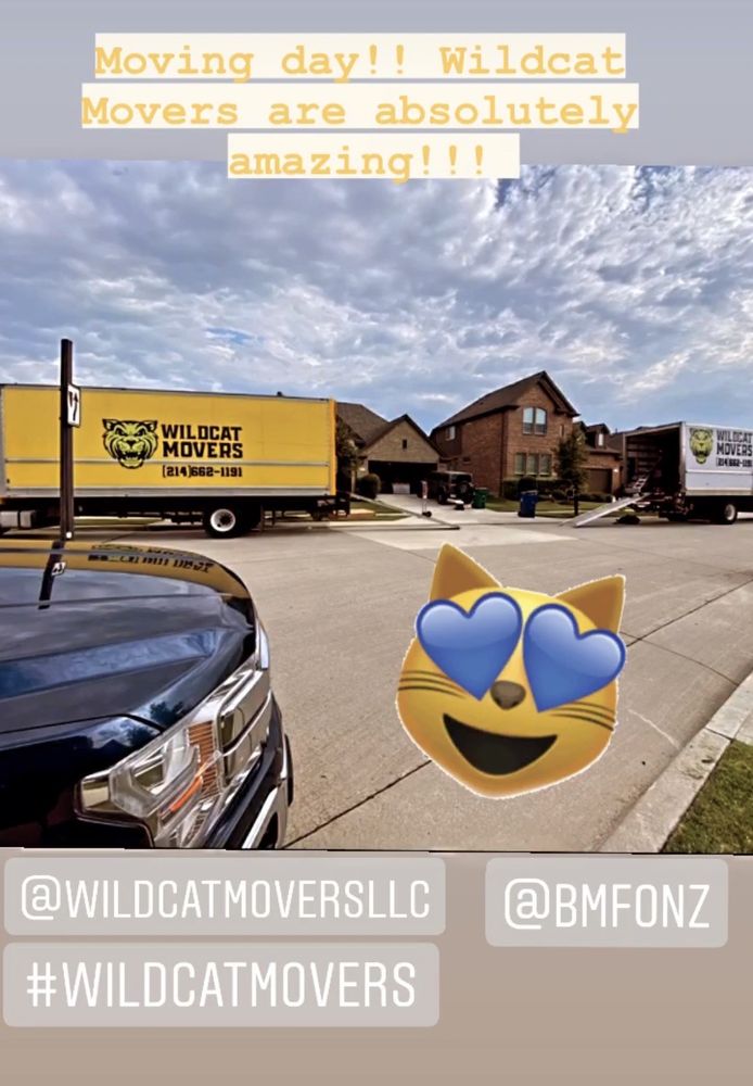 Photo of Wildcat Movers - Dallas
