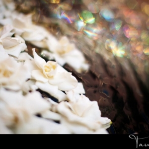 Photo of Coquette Events