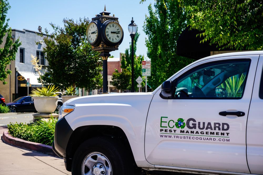 Photo of EcoGuard Pest Management