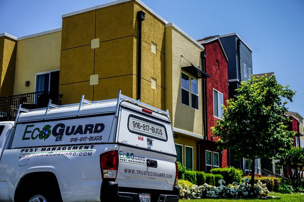 Photo of EcoGuard Pest Management