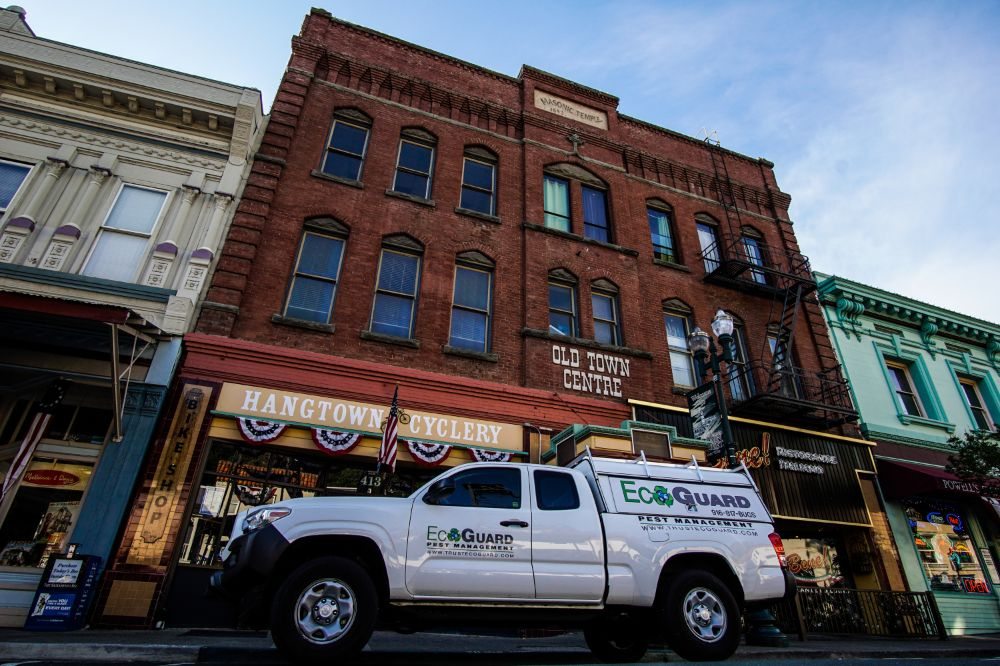 Photo of EcoGuard Pest Management
