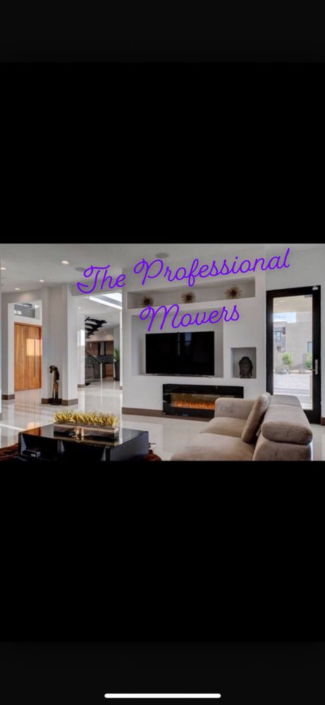 Photo of The Professional Movers