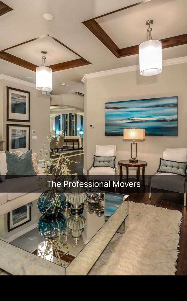Photo of The Professional Movers