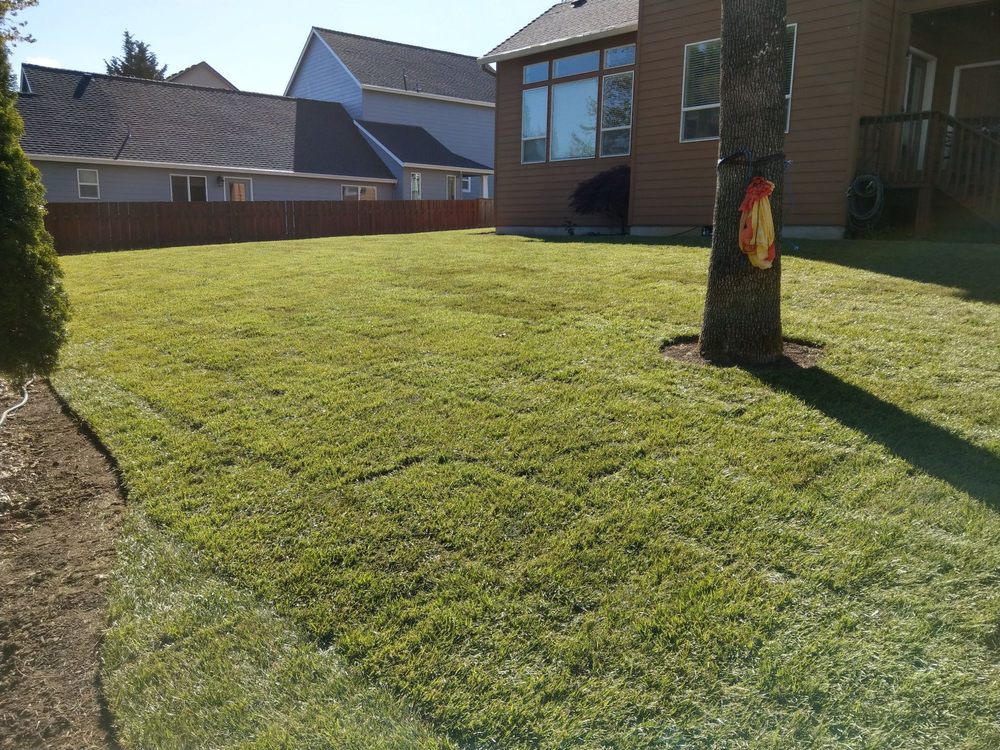 Photo of Diamond Landscape Group