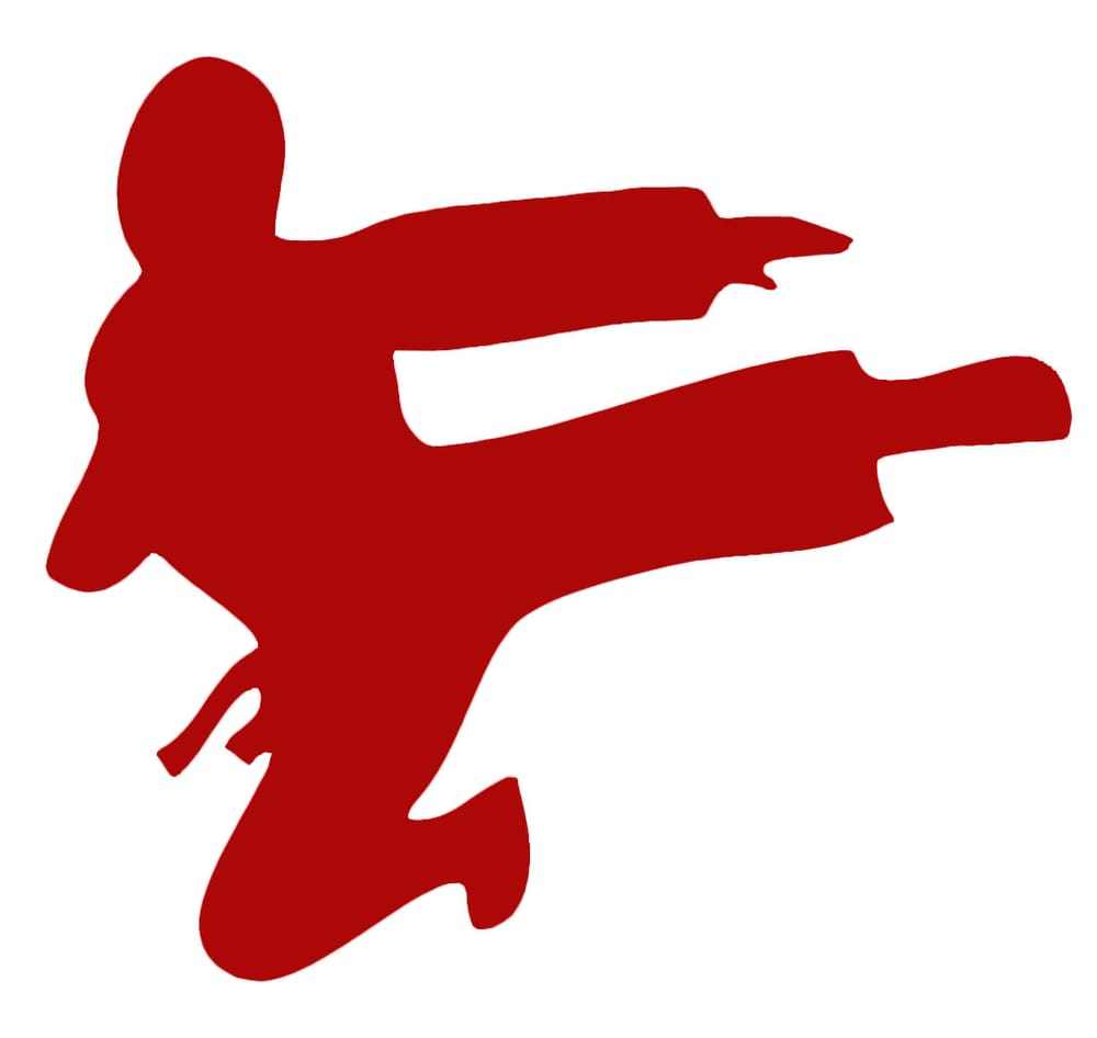 Photo of Ninja Code X