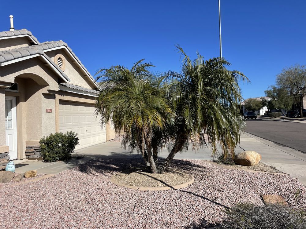 Photo of Montoya's Landscaping