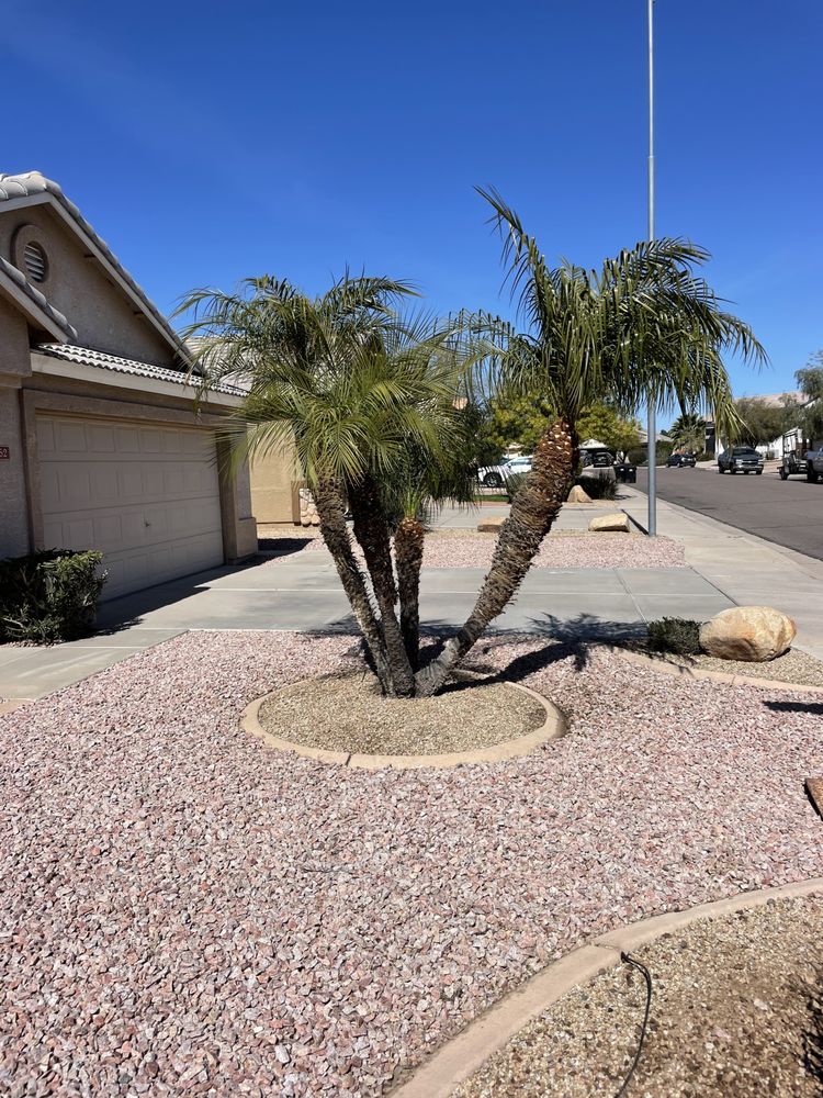Photo of Montoya's Landscaping