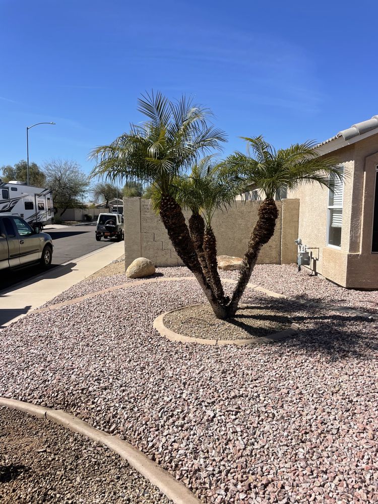 Photo of Montoya's Landscaping