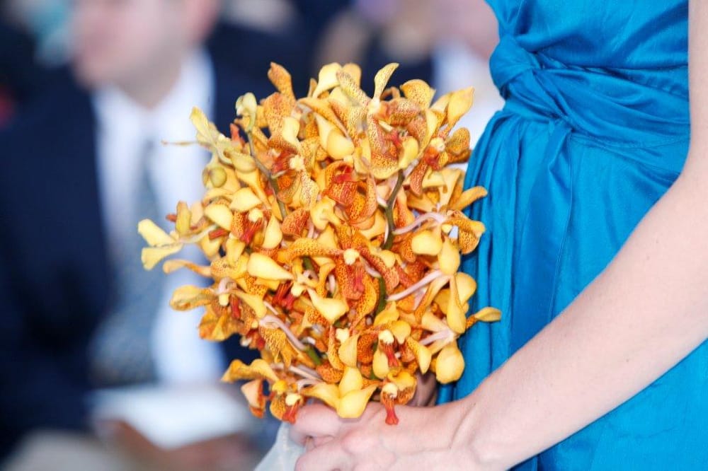 Photo of Lush Celebrations