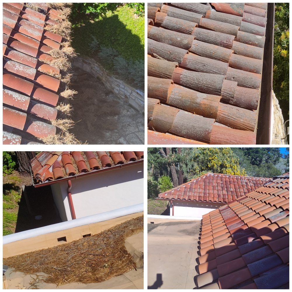 Photo of Eco Bay Cleaning Solutions
