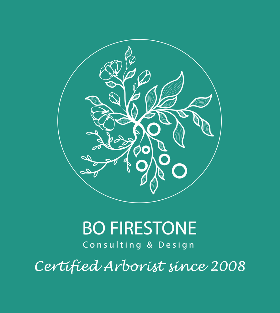 Photo of Bo Firestone Consulting & Design
