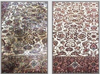 Photo of Carpet Cleaning