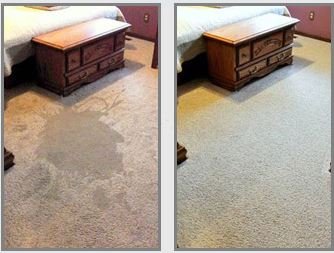 Photo of Carpet Cleaning
