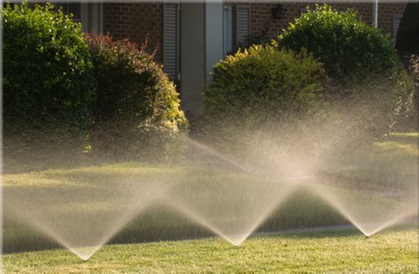 Photo of Sal's Landscape & Tree Service