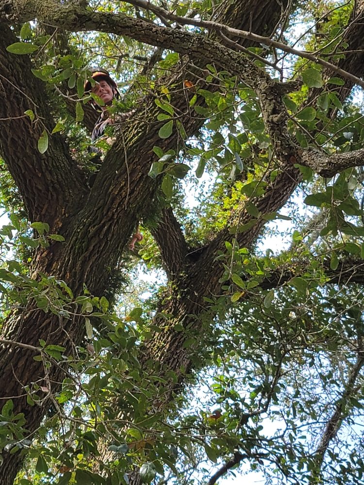 Photo of A & R Tree and Landscaping