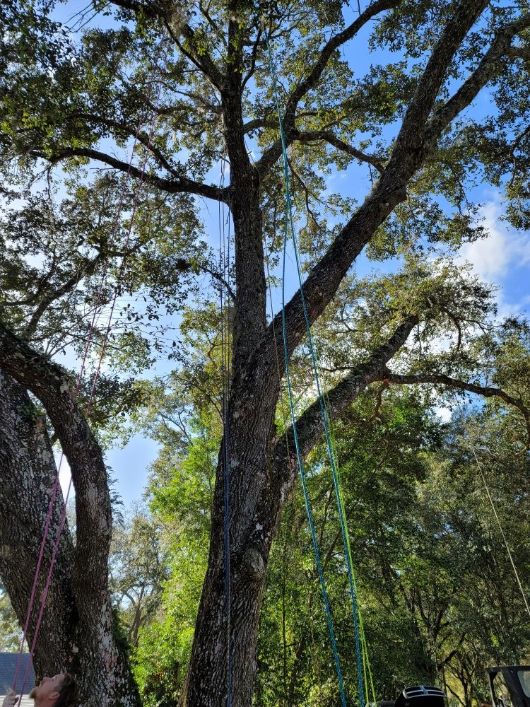 Photo of A & R Tree and Landscaping