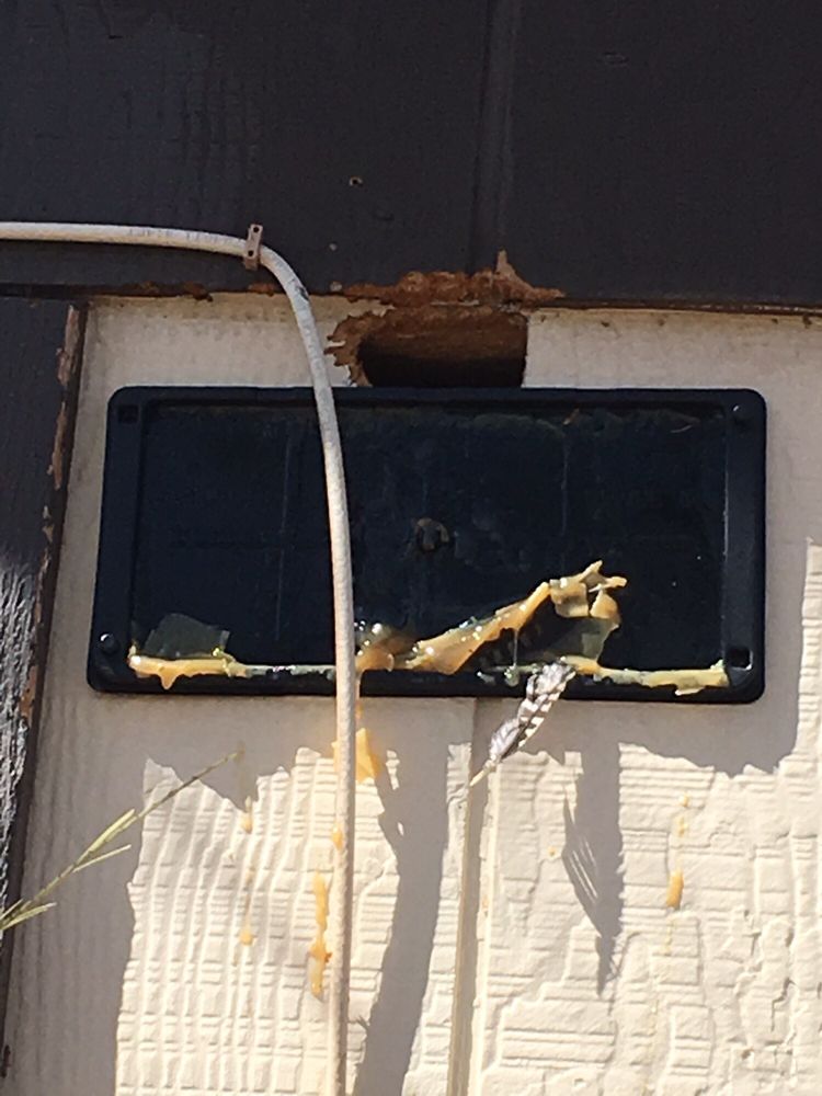 Photo of Renters Warehouse