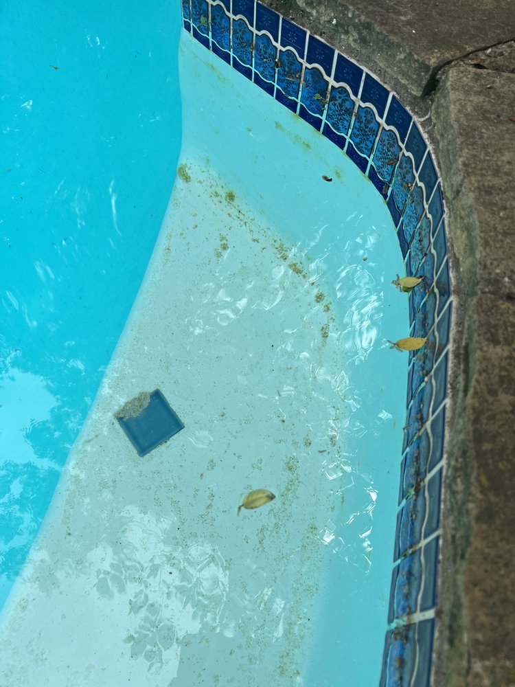 Photo of Champion Pool Service