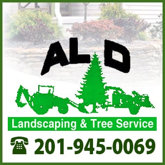 Photo of Al D Landscaping & Tree Service